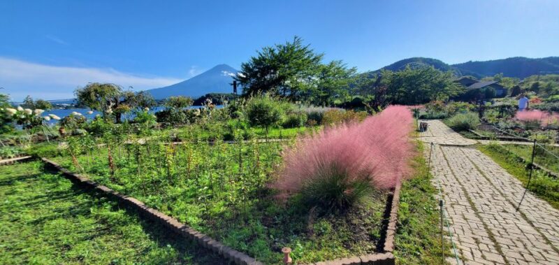 One Day Private Tour of Mount Fuji - Vehicle and Driver Information