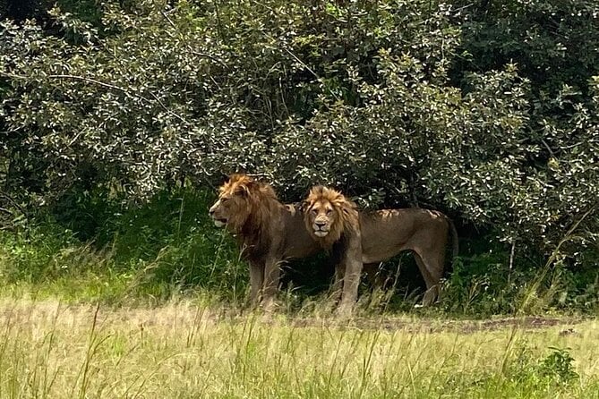 One Day Private Tour to Akagera National Park From Kigali - Inclusions
