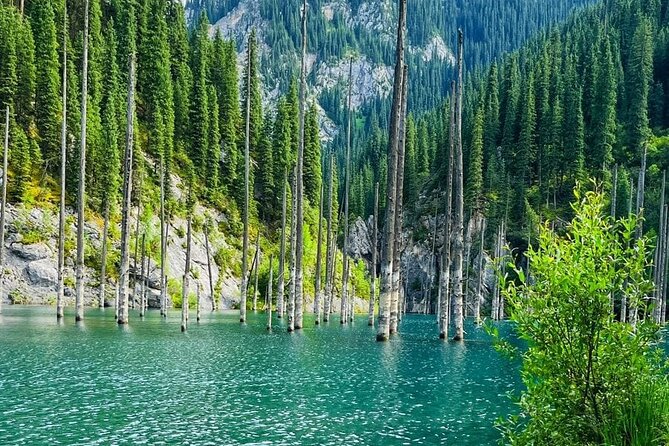 One Day Private Tour to Charyn Canyon, Kaindy and Kolsay Lakes - Pickup and Availability