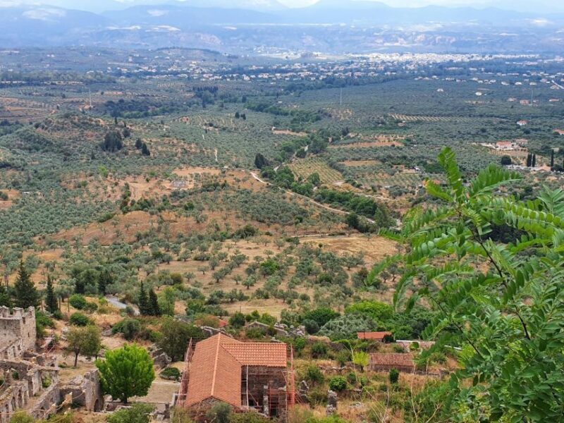 One Day Private Tour to Glory of Ancient Sparta and Mystras - Inclusions