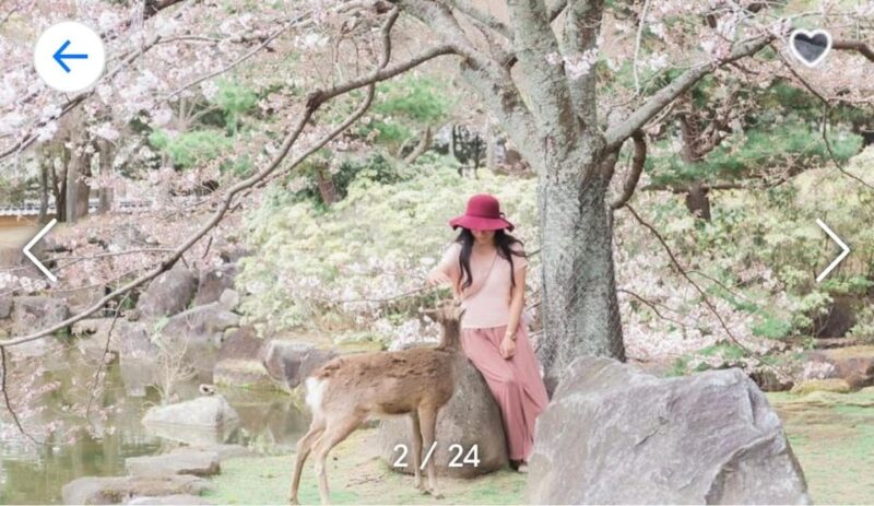 One Day Private Tour to Mount Fuji Hakone With English Guide - Booking and Availability