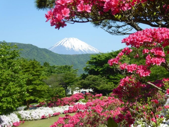 One Day Private Tour to Mount Fuji Hakone With English Guide - Hotel Pickup and Drop-off
