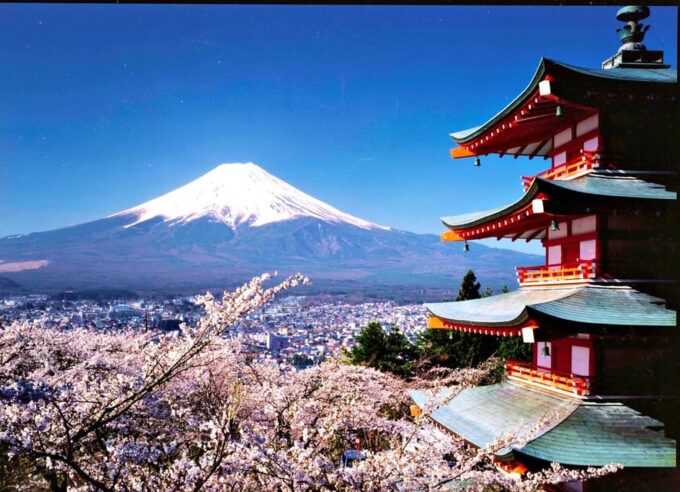 One Day Private Tour to Mount Fuji Hakone With English Guide - Optional Attractions and Activities