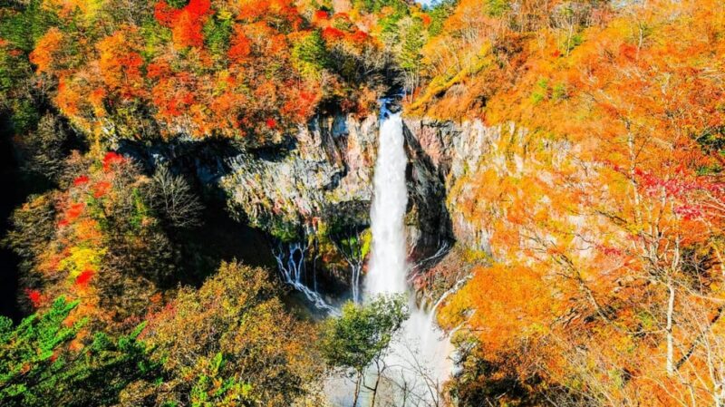 One Day Private Tour to Nikko With English Speaking Driver - Key Points