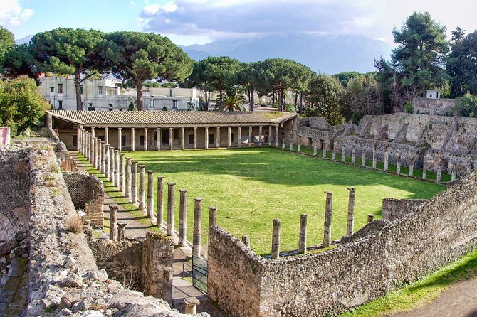 One Day Private Tour to Pompeii And/Or Herculaneum and Stop at the Winery - Inclusions