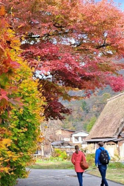 One-Day Private Trip to Shirakawa-go and Takayama - Key Points