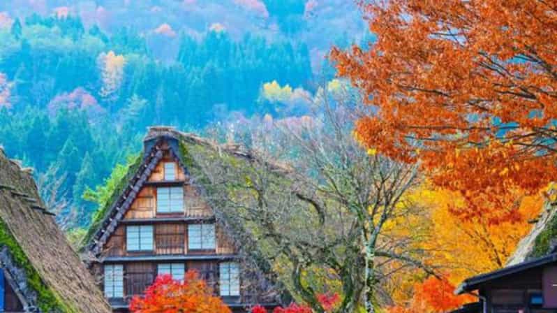 One-Day Private Trip to Shirakawa-go and Takayama - Exploring Shirakawa-go