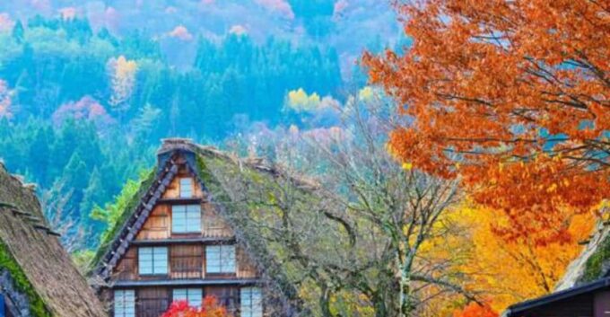 One-Day Private Trip to Shirakawa-go and Takayama - Optional Activities and Experiences