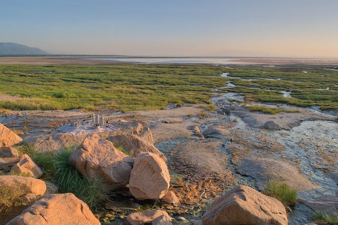 One Day Safari to Lake Manyara - Reviews