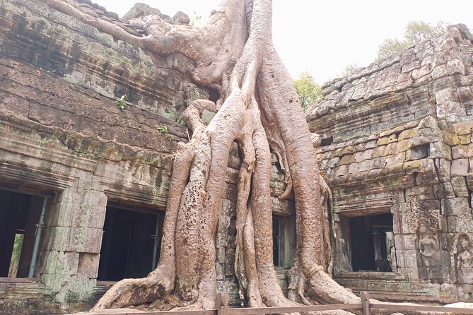 One Day Shared Trip to Angkor Temples Review - Recap