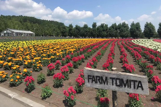 One-Day Sightseeing by Private Car in Biei/Furano! - Infants and Seating