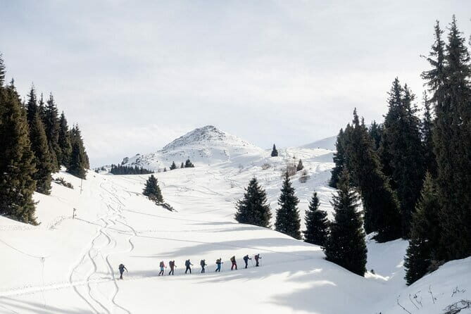 One Day Ski Tour Near Almaty - Key Points