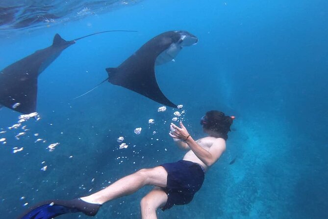 One Day Snorkeling Trip & West Tour Nusa Penida - Additional Information