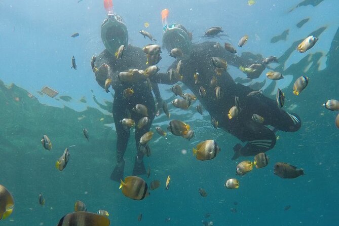 One Day Snorkeling Trip & West Tour Nusa Penida - Destination Highlights