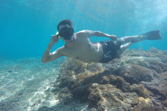 One Day Snorkeling Trip & West Tour Nusa Penida - Operator Response