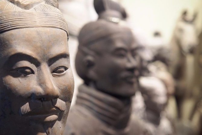 One Day Terracotta Warriors and Big Wild Goose Pagoda Small Group Tour - Inclusions