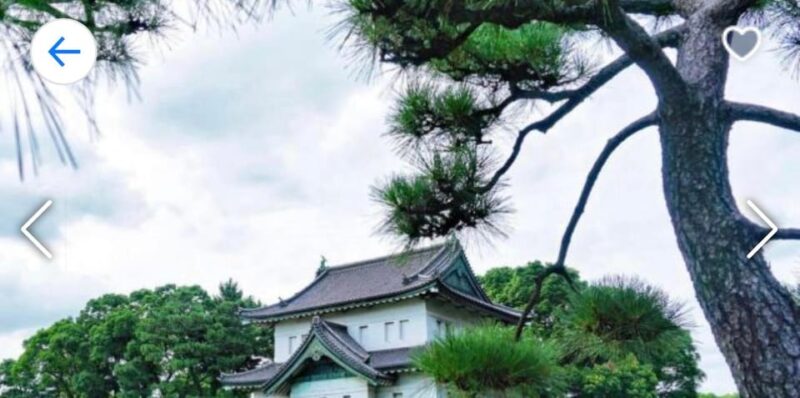 ONE DAY TOKYO CITY TOUR WITH ENGLISH SPEAKING GUIDE - Key Points