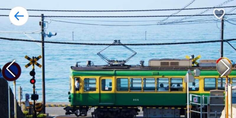 ONE DAY TOKYO CITY TOUR WITH ENGLISH SPEAKING GUIDE - Inclusions