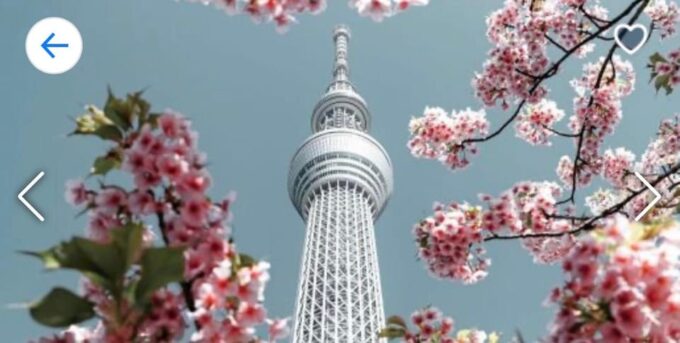 ONE DAY TOKYO CITY TOUR WITH ENGLISH SPEAKING GUIDE - Frequently Asked Questions