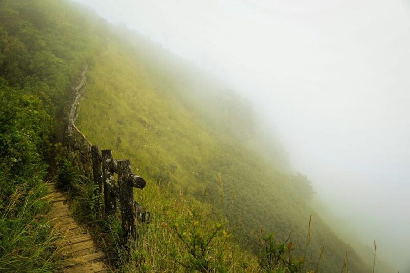 One Day Tour Doi Inthanon National Park With Guide,Lunch,Fee - Highlights