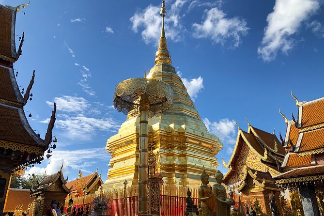 One Day Tour Doi Suthep Temple, Palad Temple, Orchid Farm, Longneck Hill Tribe Village (Private Tour) - Traveler Reviews and Feedback