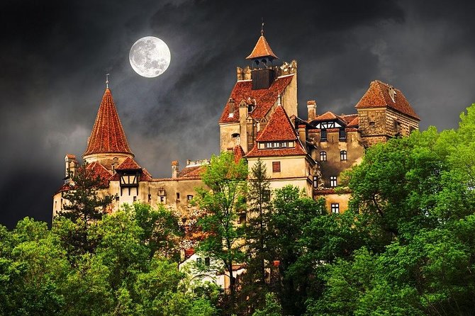 One Day Tour Dracula Castle. Libearty Bear Sanctuary. From Brasov - Highlights of the One-Day Tour