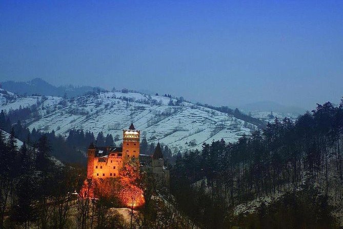 One Day Tour Dracula Castle. Libearty Bear Sanctuary. From Brasov - Itinerary and Schedule Overview