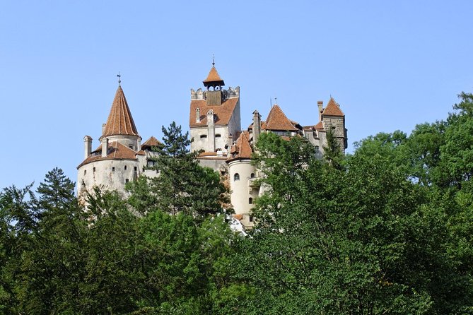 One Day Tour Dracula Castle. Libearty Bear Sanctuary. From Brasov - Inclusions and Amenities Provided