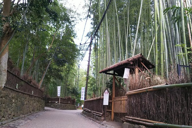 One Day Tour : Enjoy Kyoto to the Fullest! - Additional Information