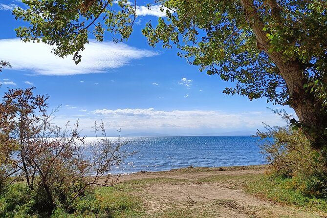 One-Day Tour From Bishkek to Issyk-Kul Lake - Meeting and Pickup
