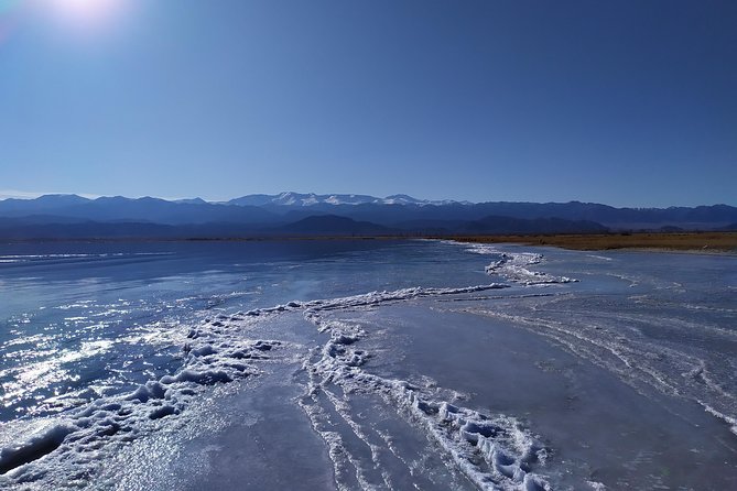 One-Day Tour From Bishkek to Issyk-Kul Lake - Customer Reviews and Ratings