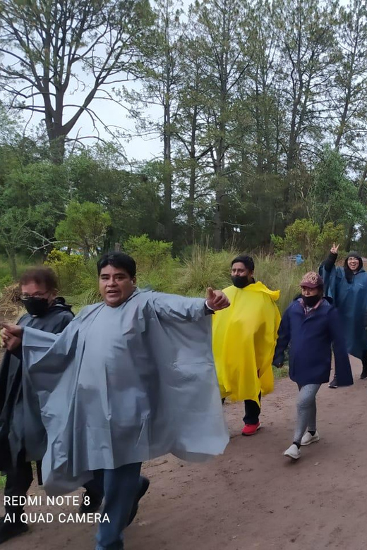 One Day Tour From Mexico City to Firefly Sanctuary - Tour Highlights