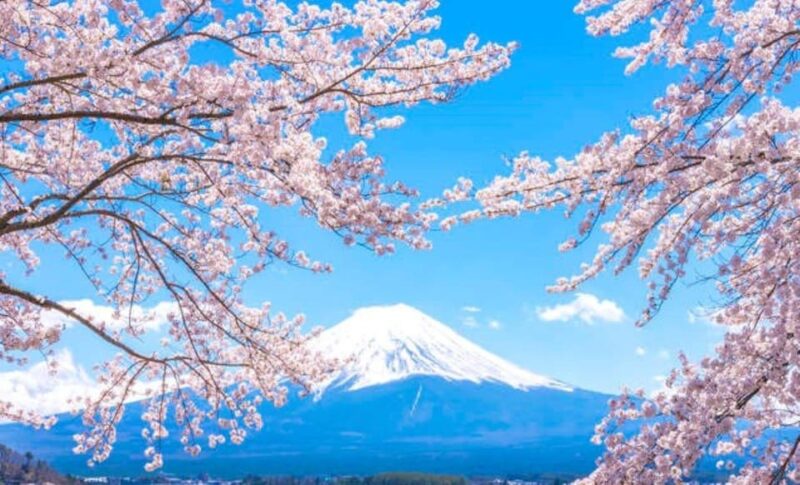 One Day Tour in Mount Fuji and Oishi Park With Fruit Picking - Tour Itinerary