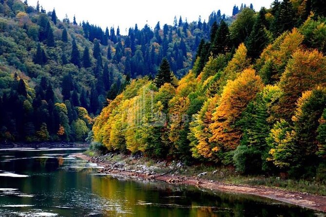 One Day Tour in Racha-Lechkhumi - Meeting and Pickup