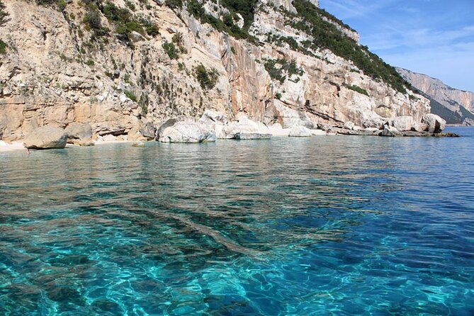 One Day Tour in Rubber Dinghy in the Gulf of Orosei With Skipper - Tour Logistics