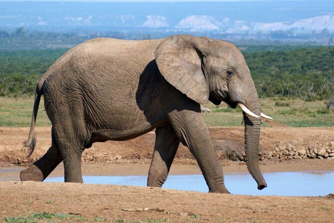 One Day Tour Inside Chitwan National Park - Key Points