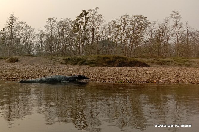 One Day Tour Inside Chitwan National Park - Inclusions and Exclusions
