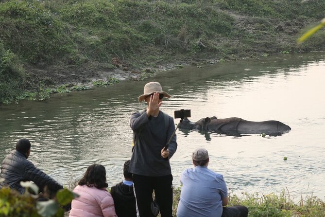 One Day Tour Inside Chitwan National Park - What to Expect