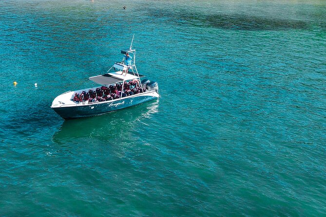One Day Tour Isla Tortuga With Lunch From Puntarenas - Itinerary and Activities