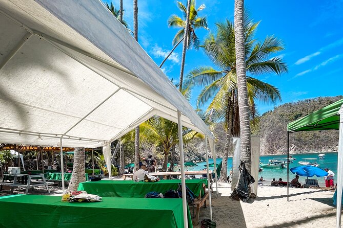 One Day Tour Isla Tortuga With Lunch From Puntarenas - Accessibility and Participation