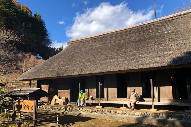 One Day Tour of Tokyos Plentiful Nature in Hinohara Village - Tour Highlights