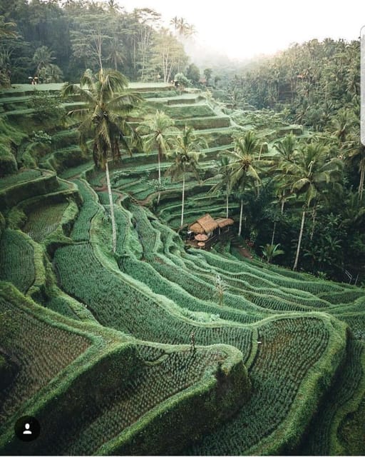 One Day Tour of Ubud Area Includes Entrance Ticket Waterfall - Key Points