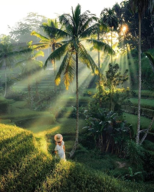 One Day Tour of Ubud Area Includes Entrance Ticket Waterfall - Itinerary Highlights