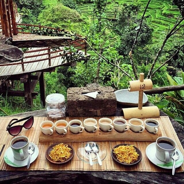 One Day Tour of Ubud Area Includes Entrance Ticket Waterfall - Visiting Tegenungan Waterfall