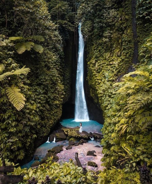 One Day Tour of Ubud Area Includes Entrance Ticket Waterfall - Frequently Asked Questions