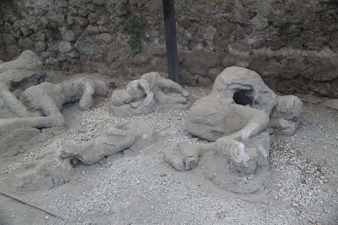 One Day Tour Pompeii, Sorrento and Positano - Accessibility and Participation