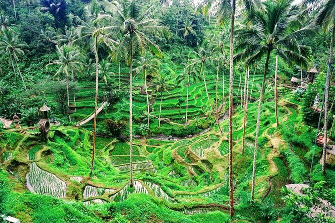 One Day Tour Tegalalang Rice Terrace And Gunung Kawi Temple - Starting Point and Overall Vibe