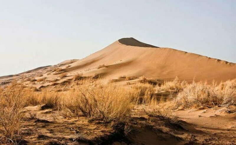 One Day Tour to Altyn-Emel: Singing Dune and Aktau Mountain - Authentic Experiences and Authenticity