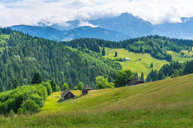 One Day Tour to Bran Castle and Hiking in Piatra Craiului National Park - Highlights of the Day