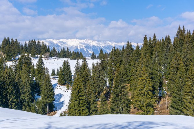 One Day Tour to Bran Castle and Hiking in Piatra Craiului National Park - Piatra Craiului National Park